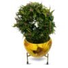 Modanio Flower Pots for Home Decoration Metal Print Plant pots Stand Planter Suitable for Indoor and Outdoor Use Home & Office Decor (Sunflower) - Modanio