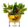 Modanio Flower Pots for Home Decoration Metal Print Plant pots Stand Planter Suitable for Indoor and Outdoor Use Home & Office Decor (Sunflower) - Modanio