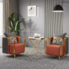 Modanio 1 Modern Luxury Single Seater Arm Chair with Golden Stainless Steel Frame