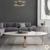Modanio Modern Coffee Table with Marble Top