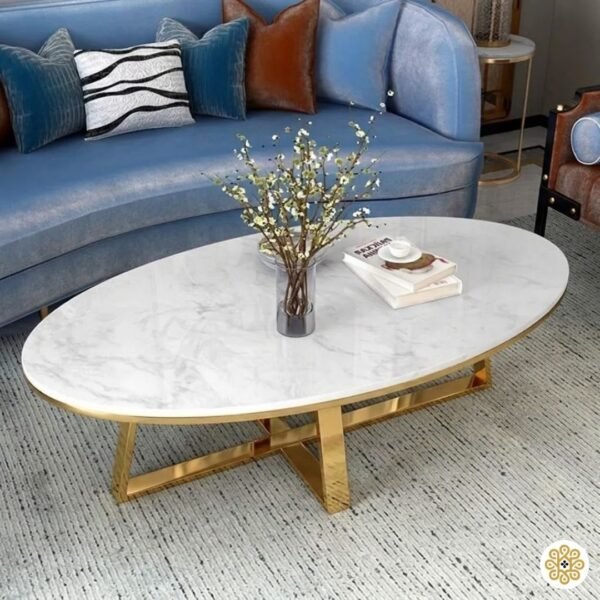 Modanio Modern Coffee Table with Marble Top