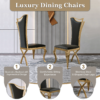 Modanio Solid Back Side Dining Chair with Upholstered Seat | Modern Glam Design | Set of 2