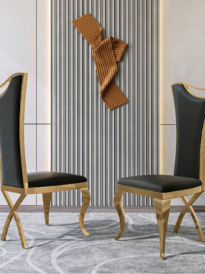 Modanio Solid Back Side Dining Chair with Upholstered Seat | Modern Glam Design | Set of 2