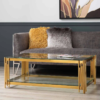 Modanio Rectangular Nebula Nest Center Table – Glass Top Coffee Table with PVD Gold Stainless-Steel Frame