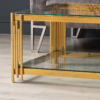 Modanio Rectangular Nebula Nest Center Table – Glass Top Coffee Table with PVD Gold Stainless-Steel Frame