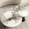 Modanio DueNest Coffee Table with PVD Finish & Marble Top
