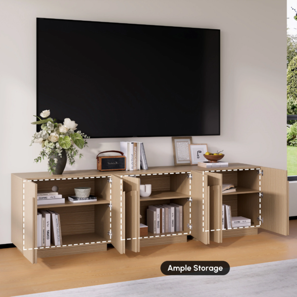 Modanio Piece Modular TV Console with Storage