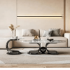 Orbital Oval Centre Table