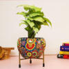 Flower Pot